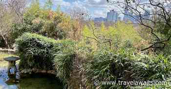 6 Fantastic Outdoor Activities To Experience In Austin This Spring - TravelAwaits