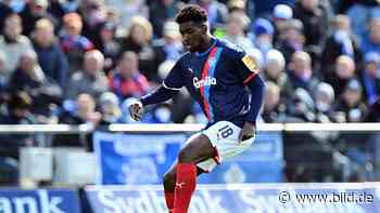 HSV: Hamburgs Straßenkicker Otschi Wriedt macht Kiel froh - BILD