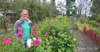 Paastocht in kaboutertuin | Lokeren | hln.be - Het Laatste Nieuws