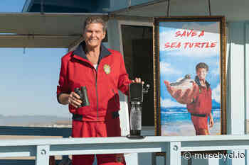 David Hasselhoff, Back on the Beach, Helps SodaStream Save Sea Turtles - Muse by Clio