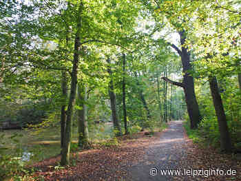 Tag des Leipziger Auwaldes 2022: Auwaldart wird digital verkündet - LEIPZIGINFO.DE