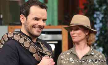 „Grill den Henssler“: So lief die Dschungelprüfung am Herd - TV Digital