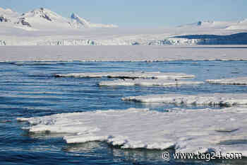 Climate crisis: Shipping's "black carbon" accelerates warming in the Arctic - TAG24 NEWS