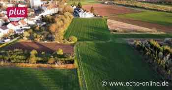 „Berliner Zwickel“ in Bischofsheim: Aussprache ist vertagt - Echo Online