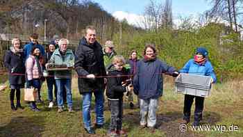 Siegen hat wieder einen Hammer-Garten für die Gemeinschaft - WP News