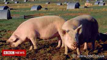 Scottish farmers warn of rising costs and food shortages