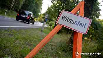 Polizei warnt: Immer mehr Wildunfälle im Landkreis Celle - NDR.de