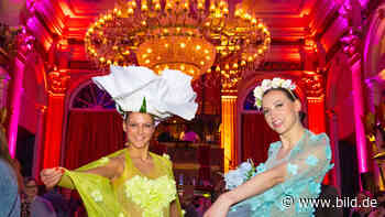 Party-Hotspot in Celle: Tanz unterm Kronleuchter | Regional - BILD