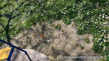 Giardinetti del Cesano: "Erba alta e degrado, un'area verde sempre trascurata" - Vivere Senigallia