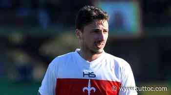 Triestina-Pro Vercelli 4-2, gol e highlights della partita - Tutto Lega Pro