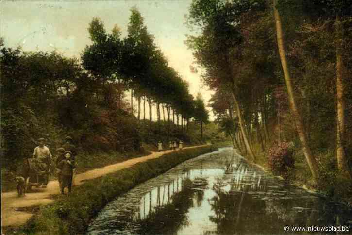 Herentals wordt weer wat meer vestingstad: stad gaat oude stadswallen beter zichtbaar maken en bouwt er zelfs een nieuwe