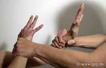 Großeinsatz der Polizei nach Beziehungsstreit: Auch SEK vor Ort - Passauer Neue Presse - PNP.de