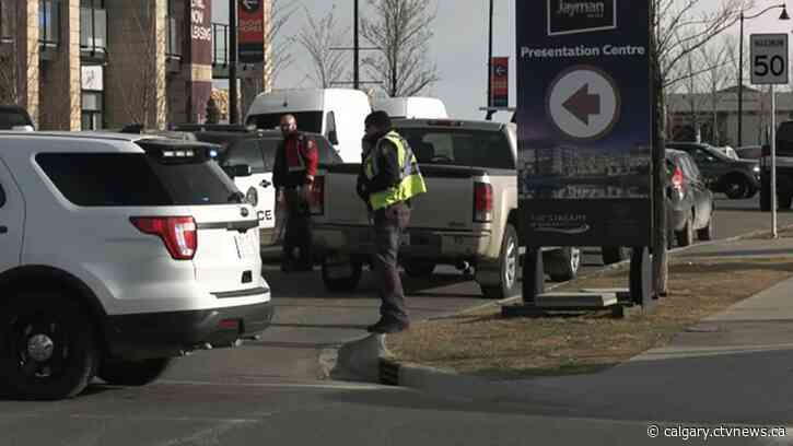 Mounties and Calgary police corral runaway driver of stolen F-150