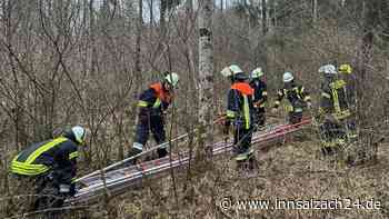 Rettung aus luftiger Höhe: Happy End für kleinen Stubentiger