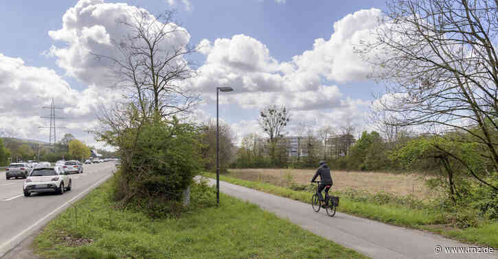 Heidelberg:  Eine Hundewiese ohne Parkplätze