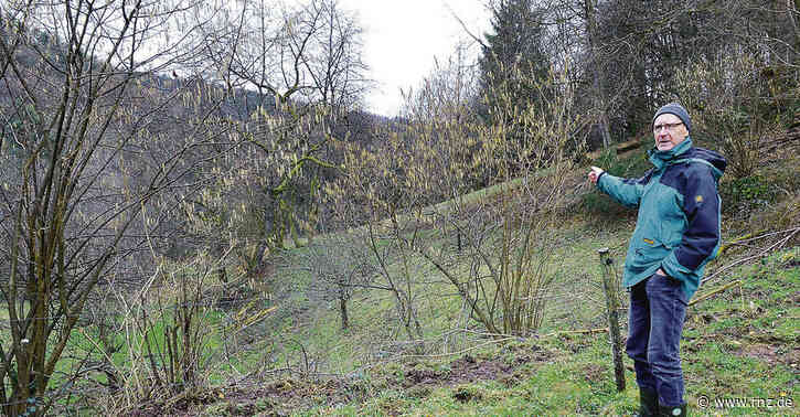Heidelberg:  Wo in Peterstal Wildschweine den Garten umgraben