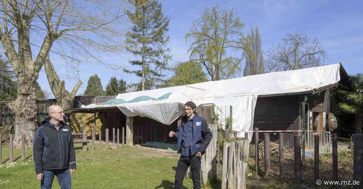 Heidelberg:  Große Pläne für das neue Schildkrötenhaus