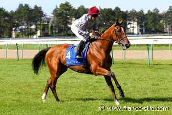 Nancy: Selwan d'entrée - France-sire