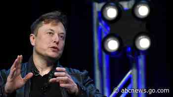 Tesla CEO Elon Musk won't join Twitter's board after all