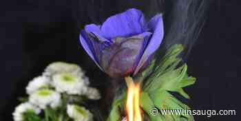 Don't be alarmed: Controlled fires will be conducted in Hamilton | inTheHammer - insauga.com