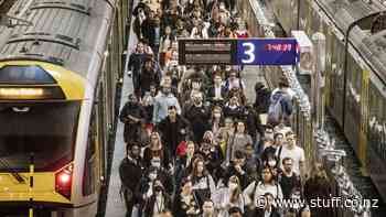 Auckland public transport users spike, but cheap fares are only half the story - Stuff