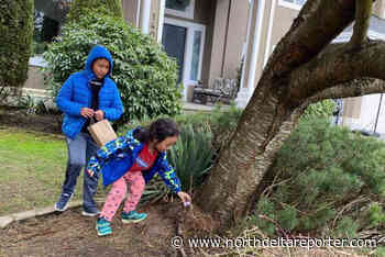 Easter egg hunt planned for White Rock Baptist Church – North Delta Reporter - North Delta Reporter