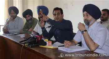 Mattewara Forest: NGT forms panel, to submit report within two months - The Tribune India