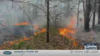 Dozers, drone used to combat Mount Enterprise-area forest fire - KLTV