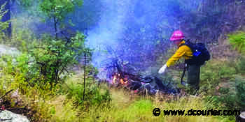 Forest firefighters halt 3-acre fire in Doce Pit area west of Prescott; high winds in spring can cause problems for containing blazes - Prescott Daily Courier