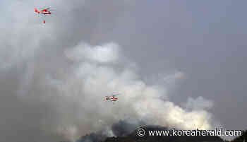Forest fire extinguishing rate reaches 95% in Gangwon border town - The Korea Herald