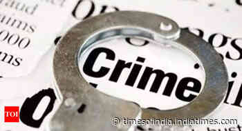 Assam: Arms haul in Kokrajhar forest - Times of India