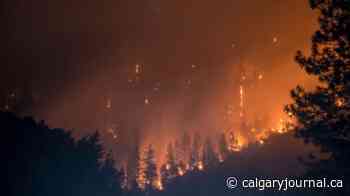 Researcher creating system to predict, prevent forest fires as climate change increases devastating blazes￼ - The Calgary Journal