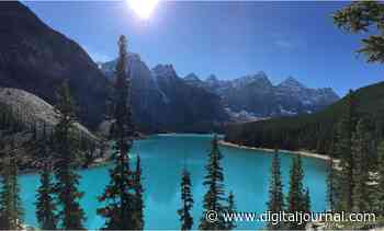 The boreal forest is on the move. Here's what that means for our climate - Digital Journal