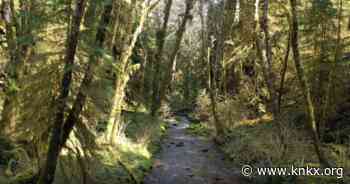 Washington state to preserve 10000 forest acres through carbon markets - knkx.org