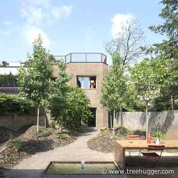 Bioclimatic Restoration of 1940s House Is Inspired by the 'Urban Forest' - Treehugger