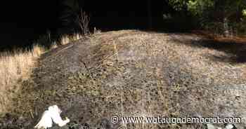 Deep Gap VFD, NC Forest Service respond to small brush fire by U.S. 421 - Watauga Democrat