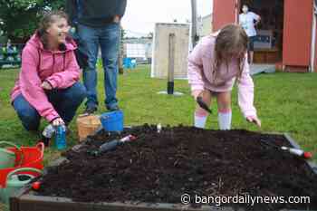 Interactive lumberjacks program for kids teaches about Maine's $8.5 billion forest industry - Bangor Daily News