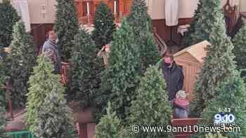 Art Exhibit Transforms Manistee Church Into Forest - 9 & 10 News - 9&10 News