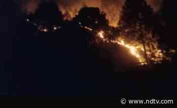 Massive Fire In Forest In Uttarakhand, Some Animals, Birds Charred To Death - NDTV