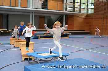 Sport in Fellbach und Kernen: Endlich wieder Spaß an der Bewegung - Stuttgarter Nachrichten