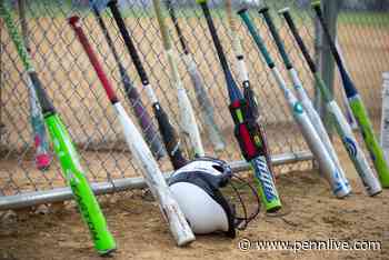 Mackenzie Sawdey, Amyah Lebo help Halifax defeat Line Mountain - PennLive