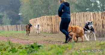 Hondenlosloopzone in park Bisenweijke opent op 20 april de poorten - Het Laatste Nieuws
