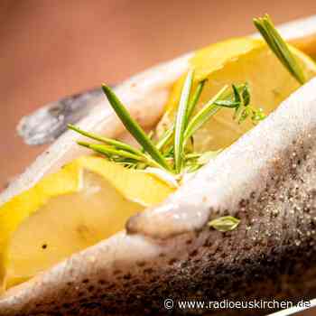 Karfreitag: Welcher Fisch darf auf den Tisch? - radioeuskirchen.de