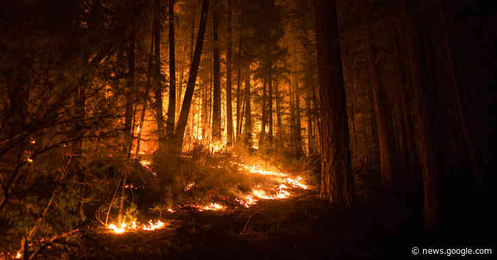 PG&E agrees to pay $55 million in penalties and costs over two wildfires. - The New York Times