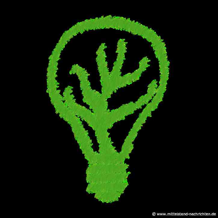 KMU Studie 2022: Deutscher Mittelstand aus Überzeugung nachhaltig