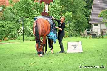 Start-up aus Rheine: Deckenpost galoppiert ins Ziel