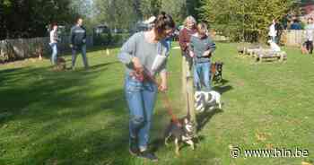 Denderleeuw krijgt 82 procent op dierenwelzijnsrapport van GAIA - Het Laatste Nieuws