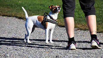 Tierköder am Spazierweg ausgelegt