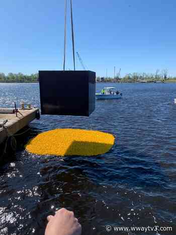 Thousands of rubber ducks raced in the Port City Duck Dash in downtown Wilmington - WWAY NewsChannel 3