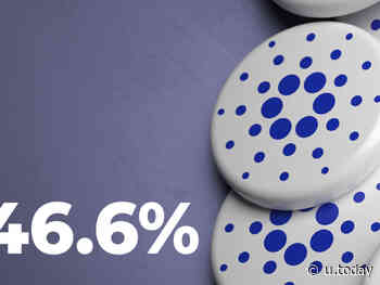 Cardano's Biggest Wallets Again Own Largest Part of ADA Supply in 2 Years: 46.6% - U.Today